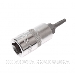 Бита-головка 1/4" TORX T8х37мм JTC