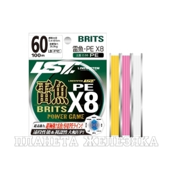 Шнур LINESYSTEM Raigyo Britz PE X8 Pink 60LB (100m)