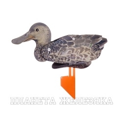 Набор уток NRA FUD Northern Shoveler (Широконоска) RU-NS (set-6pcs)