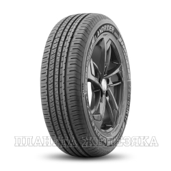 Шина DOUBLESTAR DS09 225/65 R17 102H