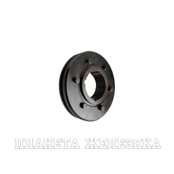 Поумуфта торообразная под втулку 2517 F100E (PHE F100HTBFLG), FLEX100E-ISKRA