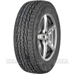 Шина IKON TYRES Autograph Snow C3 215/65 R16C 109/107R