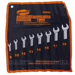 Набор ключей трещоточных комбинированных шарнирных 8 пр.8-19мм сумка-скрутка АВТОДЕЛО