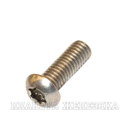 Винт М6х10 TORX A2