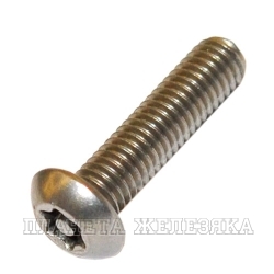 Винт М4х25 TORX-PIN A2