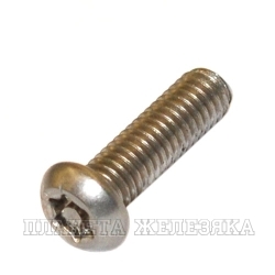 Винт М6х12 TORX-PIN A2