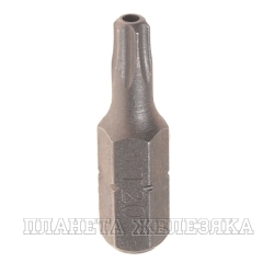 Бита TORX Т20H L=25мм 1/4" с отверстием ROCKFORCE