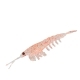 Приманка NIKKO Okiami Shrimp L 58мм #Orange Glitter