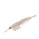 Приманка NIKKO Okiami Shrimp L 58мм #Pearl White