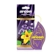 Освежитель воздуха AREON MON Patchouli Lavender Vanilla