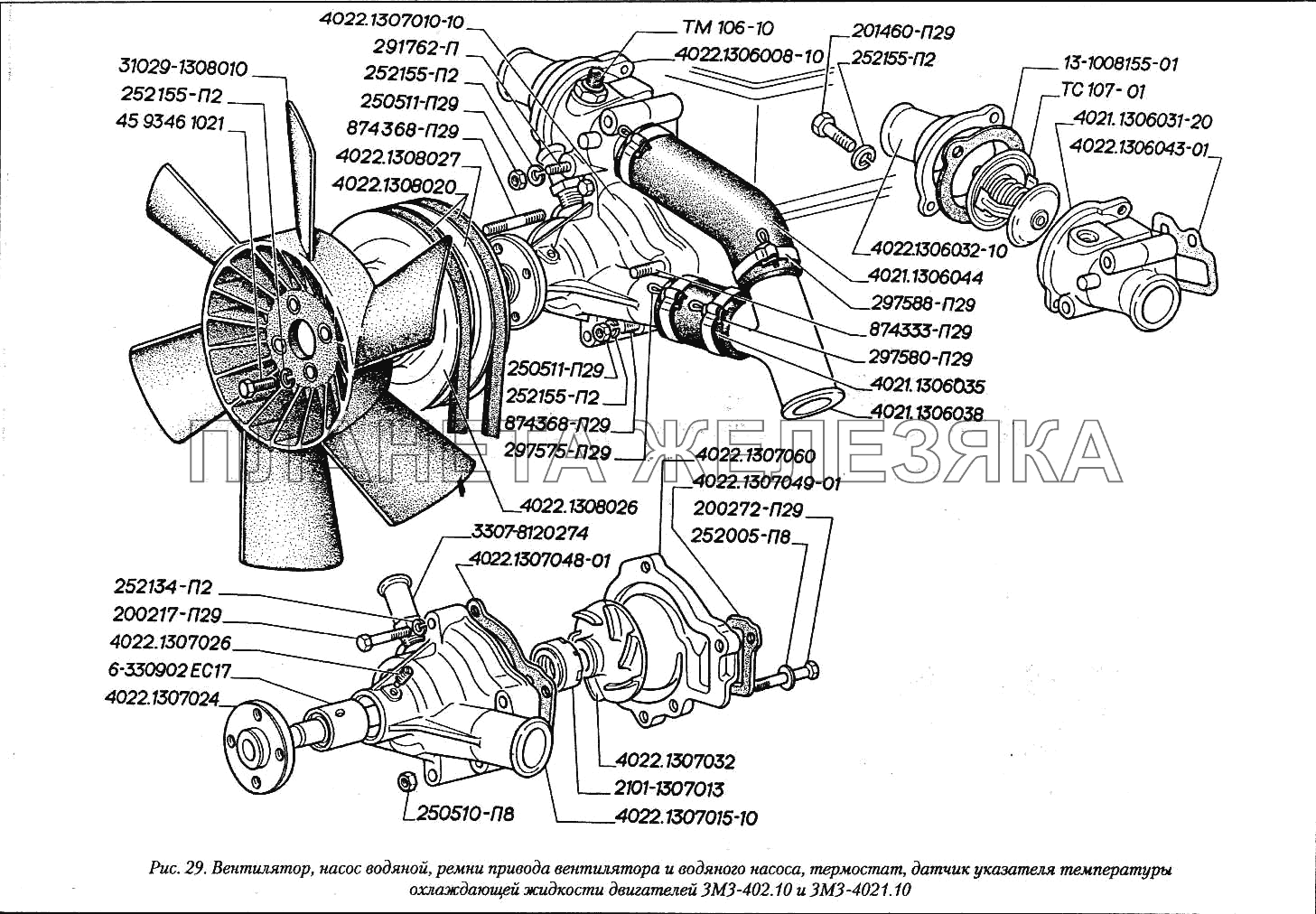Вентилятор, насос водяной, ремни привода вентилятора и водяного насоса, термостат, датчик указателя температуры охлаждающей жидкости двигателей ЗМЗ-402.10 и ЗМЗ-4021.10 ГАЗ-3110