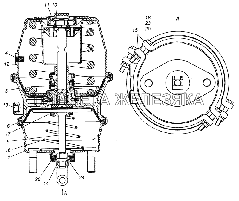 24.3519200-01 Камера тормозная с пружинным энергоаккумулятором, тип 24/24, в сборе КамАЗ-43501 (4х4)