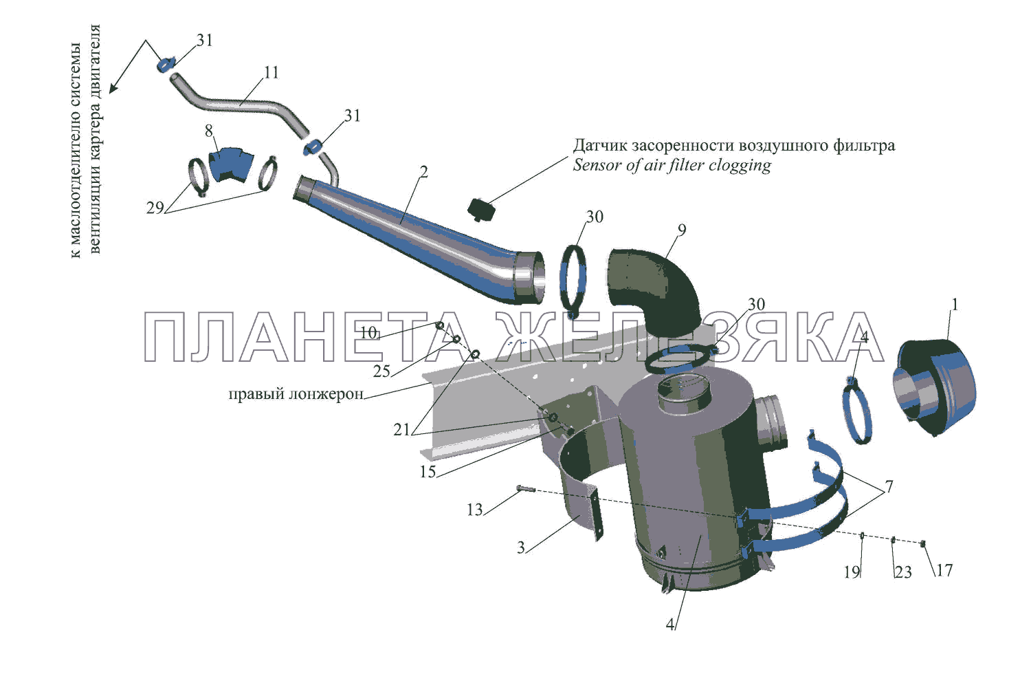 Маз зубренок где находится