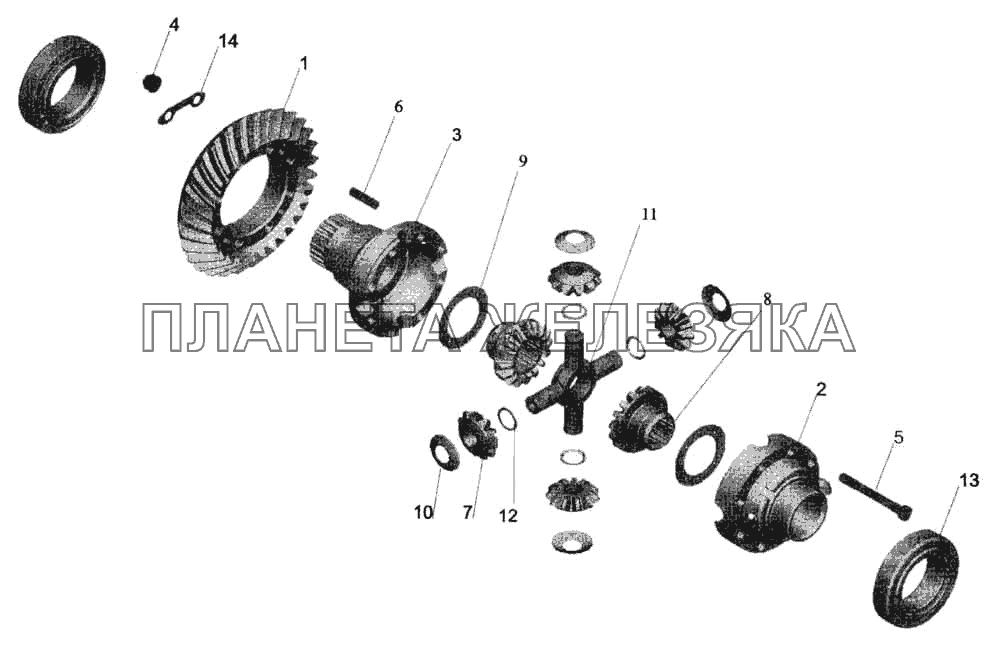 Дифференциал МАЗ-5336