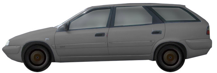 Диски CITROEN Xantia 3.0 V6 (1998-2003) R15