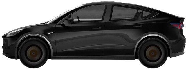 Диски на TESLA Model Y SUV I (2020 - 2025)