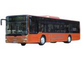 LION S CITY