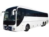 LION S COACH